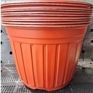  Combo 10 chậu nhựa TTK 350x280 mm nâu đỏ vành cứng Tân Tường Khang 