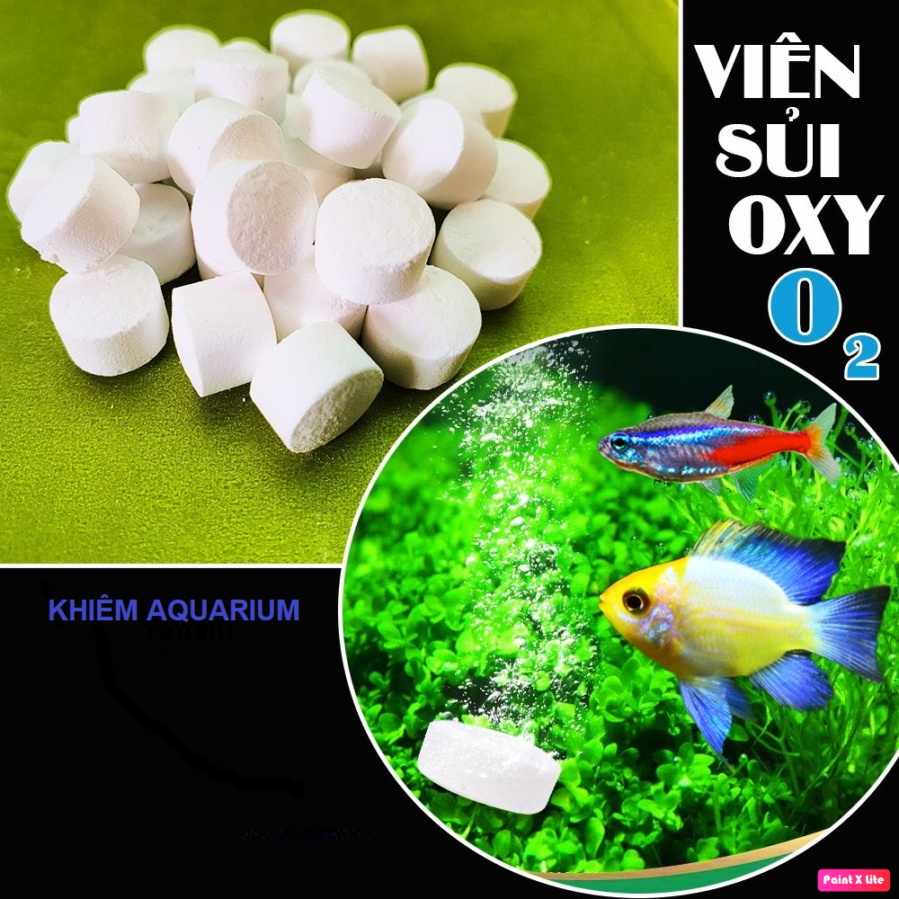 Viên Oxy Cho Bể Cá - Cung Cấp Oxy Cho cá cảnh 1kg