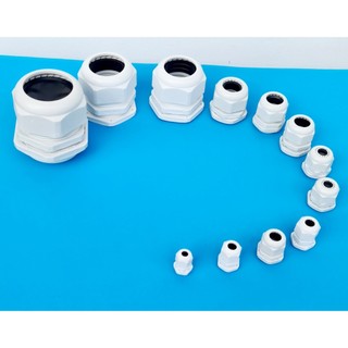 Ốc Siếc cáp nhựa PG 9 -100 cái/1 bit