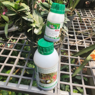 Stop 5SL Chai100ml - Chất hỗ trợ phòng trừ tuyến trùng trên cây trồng