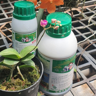 Stop 5SL Chai100ml - Chất hỗ trợ phòng trừ tuyến trùng trên cây trồng