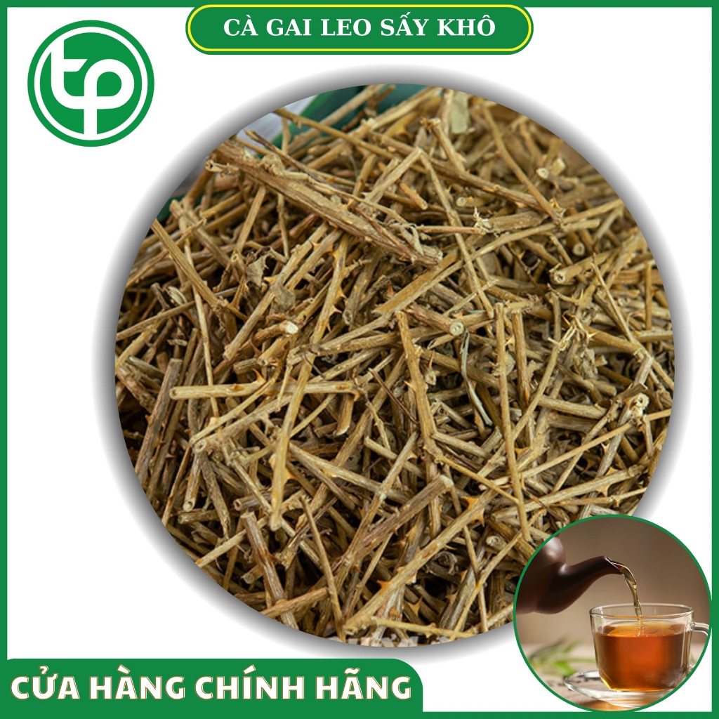 [HCM] Cà gai leo khô 500g - thanh nhiệt giải độc