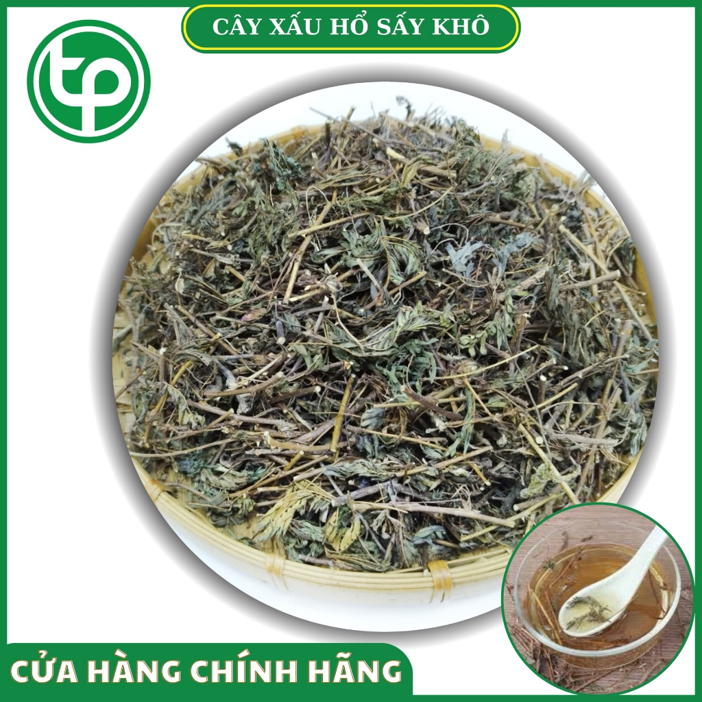 Cây mắc cỡ ( xấu hổ ) khổ 1kg - Tấn Phát - Hàng sạch thơm cao cấp