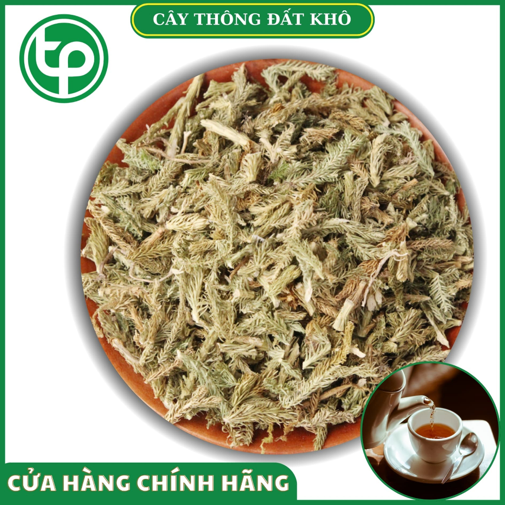 [Trà khô thơm ngon] Cây thông đất khô loại 1kg - Tấn Phát