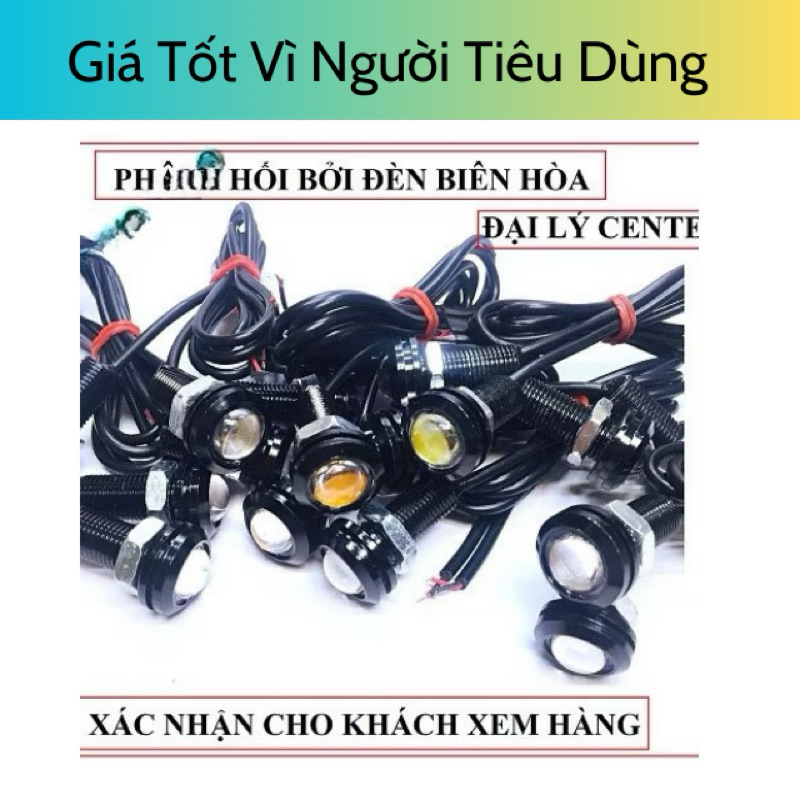 Đèn xinhan cúc áo
