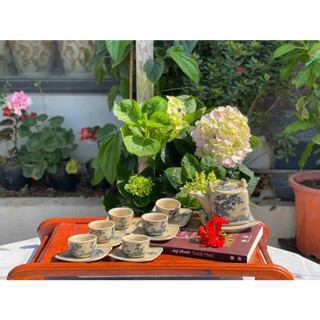 Bộ ấm chén men rạn vuông Sơn Thủy – Nét đẹp truyền thống trong từng chi tiết - Chợ Sứ Bát Tràng
