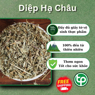 [Hàng khô sạch cao cấp] Diệp hạ châu khô 1kg - Tấn Phát