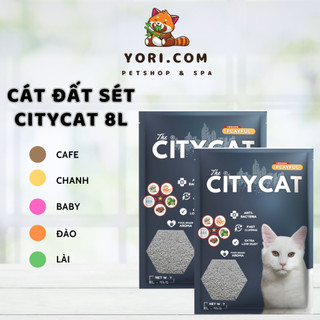 Cát vệ sinh đất sét Citycat bao bì mới vón cục đỉnh, thấm hút cực tốt