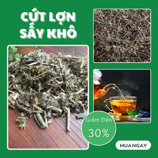 [Combo giá rẻ] Cây cứt lợn khô Tấn Phát 2kg