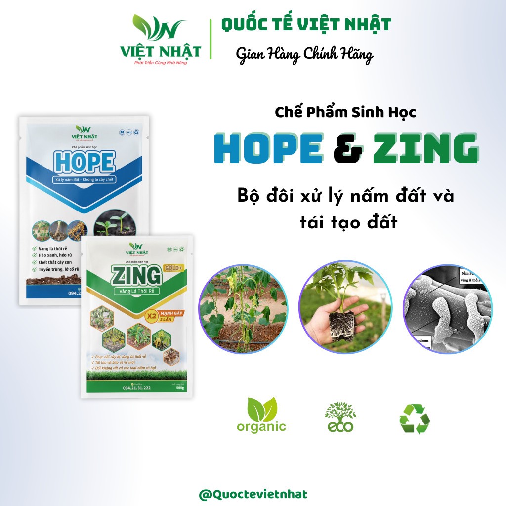 Combo xử lý nấm đất và phục hồi cây bị vàng lá, thối rễ, lở cổ rễ- HOPE+ZING