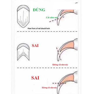 Thức ăn hạt chó mèo - Kim bấm