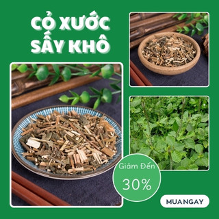 [Hàng mới về] cỏ xước khô túi lớn loại 1kg - Tấn Phát