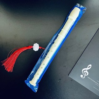 [Sale] Sáo dọc Recorder 8 lỗ dễ thổi dành cho học sinh học âm nhạc (tặng túi và que vệ sinh)