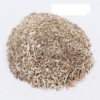Thức ăn cho mèo - Cỏ mèo Catnip