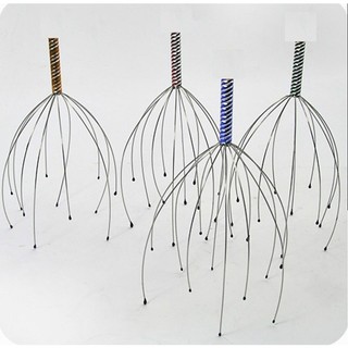 Cây mat xa - Thức ăn chó mèo