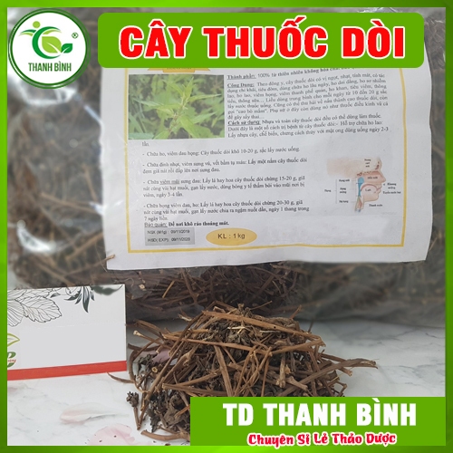 Cây Thuốc Dòi Khô 100g [ Hàng Công Ty Chất Lượng ]