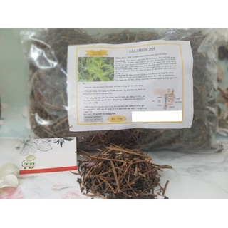 Cây Thuốc Dòi Khô 100g [ Hàng Công Ty Chất Lượng ]