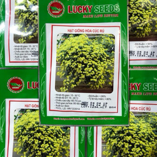 HẠT GIỐNG HOA CÚC RỦ
