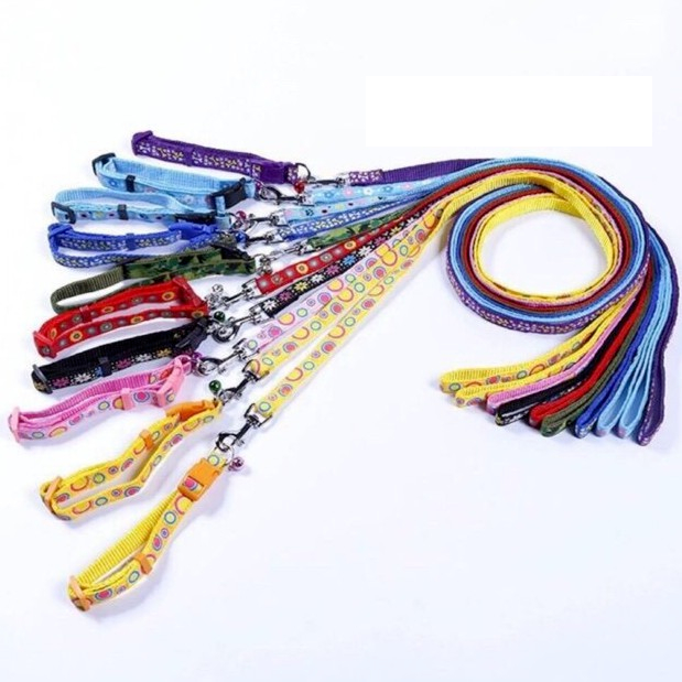 Thức ăn hạt chó mèo - Dây cổ