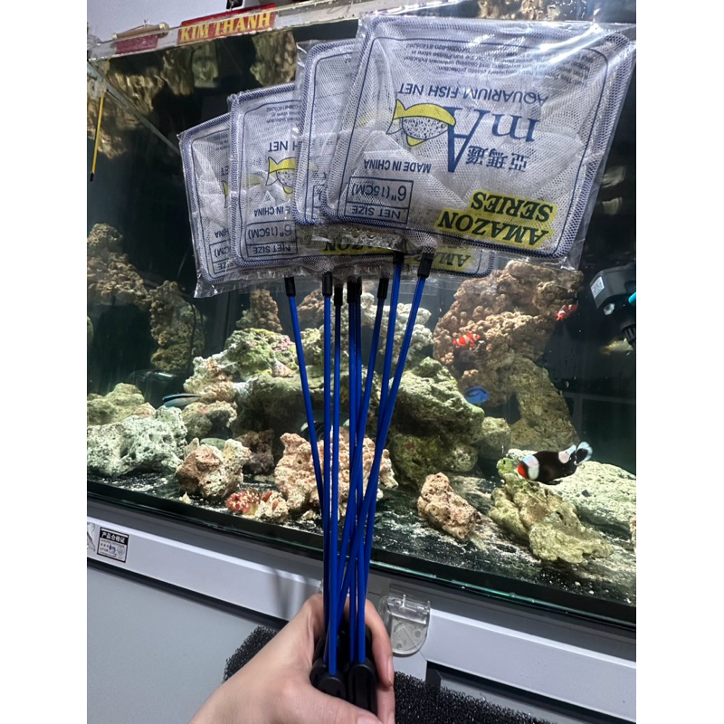 Vợt Cá Cán Cứng Lớn 6 in (15cm) - Dụng Cụ Vớt Cá Dành Cho Hồ Cá, Bể Cá, Chậu Cá [VỢT 6INCH]