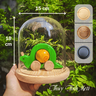 Chụp thủy tinh đế gỗ 15x18, kích thước tùy chỉnh theo yêu cầu