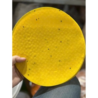 1kg vỏ bánh tráng nướng mè vàng 50k