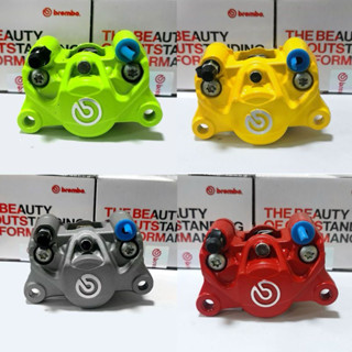 Heo dầu 2pis đối xứng trước sau gắn phanh đĩa xe điện