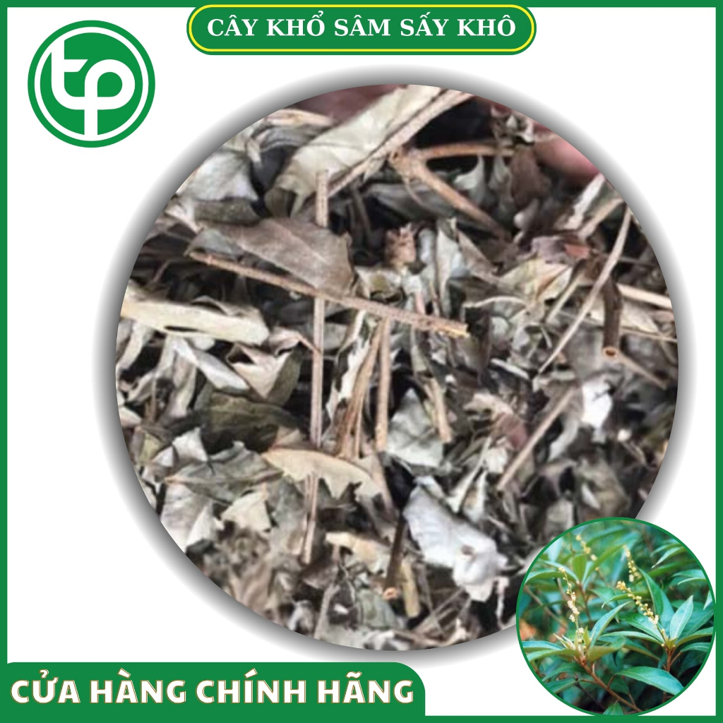 Lá khổ sâm sấy khô 500g - Tốt cho dạ dày - chuyên dùng để pha trà hoặc nấu nước uống