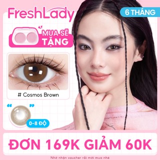   COD  Fresh Lady 0-8 độ Kính áp tròng MCK1 Cosmos Brown Choco Grey màu xám hạn sử dụng 6 tháng 14.0mm màu xám thờ 