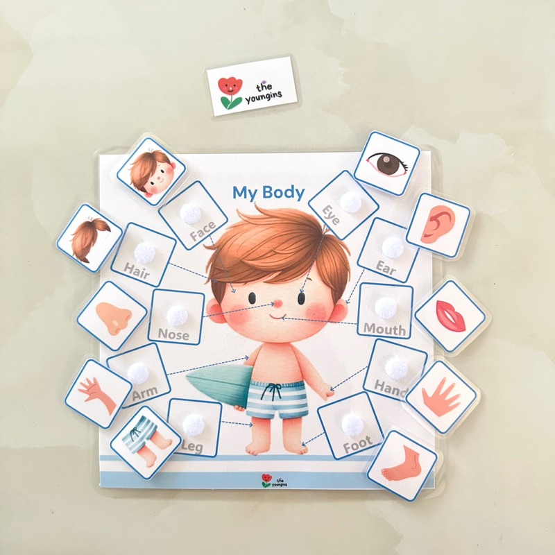 Học liệu Bóc dán chủ đề My Body (Boy) - giấy bìa cứng + ép plastic