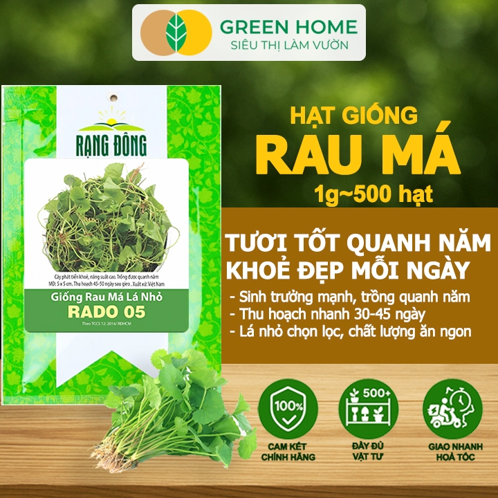 Hạt Giống Rau Má GreenHome, Gói 1gr~500 hạt, Dễ Trồng, Nảy Mầm Cao, Thu Hoạch Nhanh, Năng Suất R12