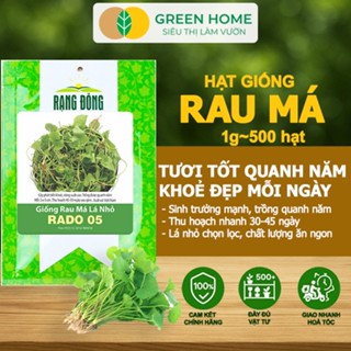 Hạt Giống Rau Má GreenHome, Gói 1gr~500 hạt, Dễ Trồng, Nảy Mầm Cao, Thu Hoạch Nhanh, Năng Suất R12