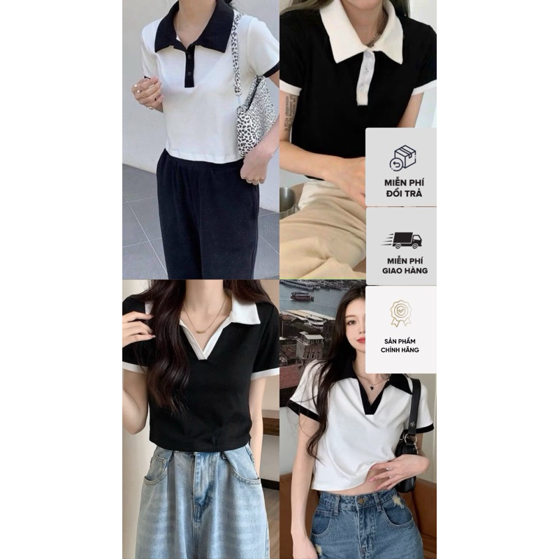 Áo Croptop cổ bẻ phối cổ CN-minhon