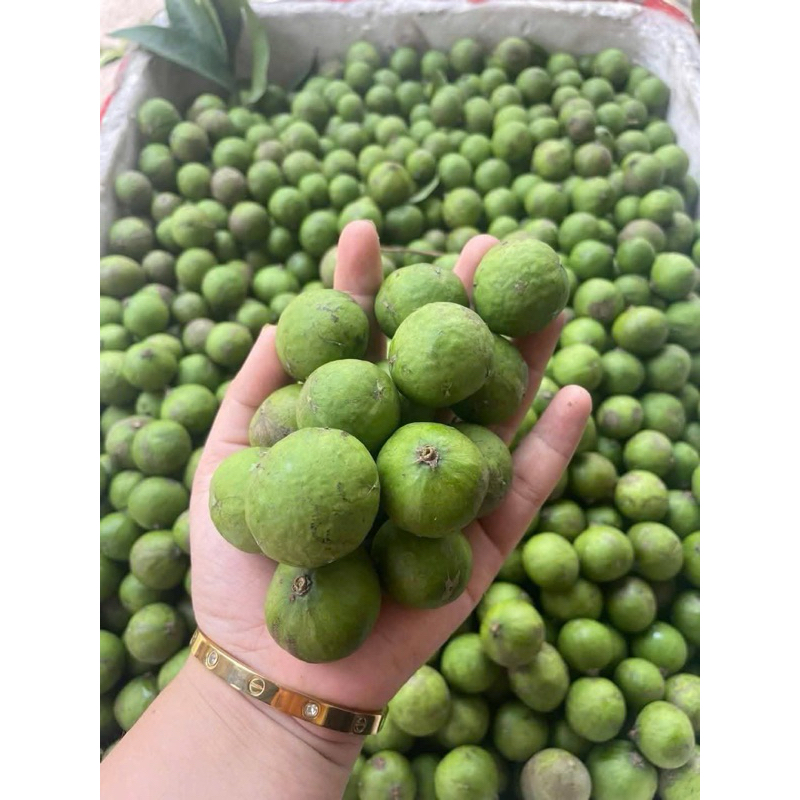 sấu tươi trà sạch vỏ cấp đông sấu sạch hút chân không