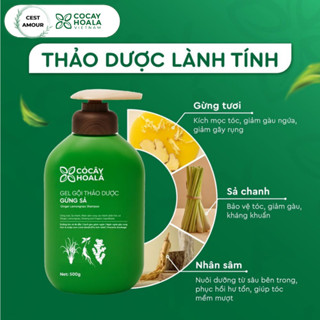 [500ml - 1000ml] Dầu Gội Xả Hữu Cơ Gừng Sả Cocayhoala hỗ trợ kiềm dầu, giảm gàu ngứa và bết tóc