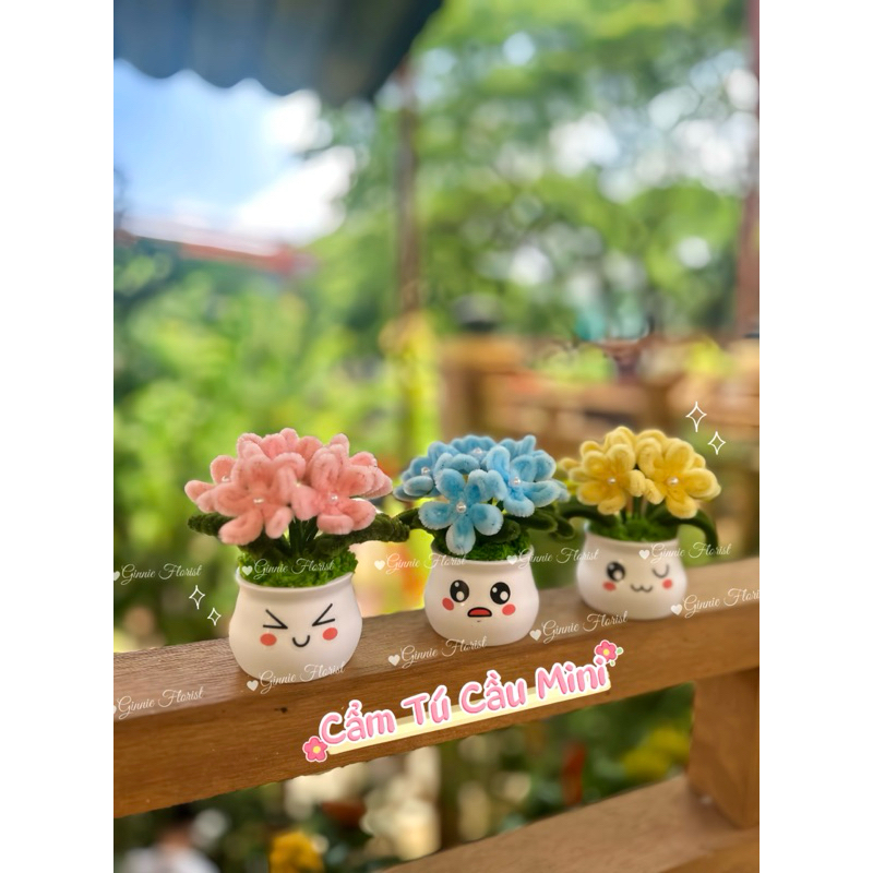 Chậu Cẩm Tú Cầu Mini - Handmade by Ginnie florist