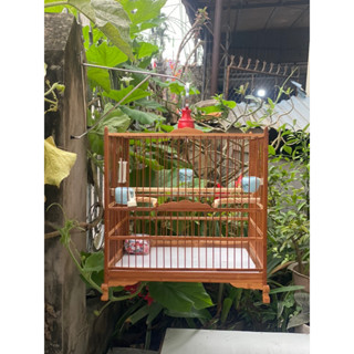 Khung lồng chim chào mào tự ráp chất liệu trúc già đỏ cửa lá đề form vuông đấu , thái đấu KAMON ( Tặng kèm keo dán )