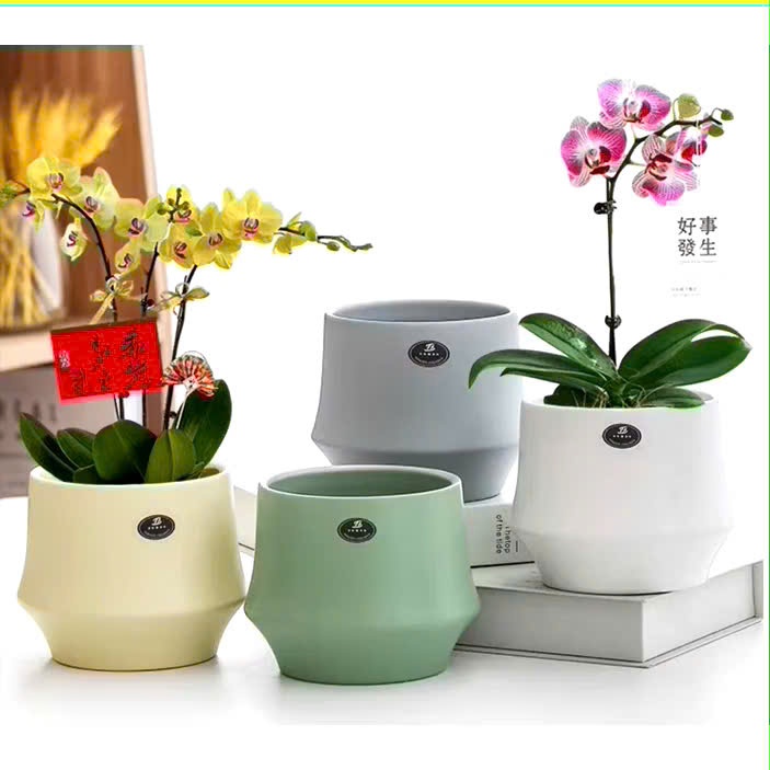 Chậu gốm dáng lê phong cách hiện đại, chậu trồng cây cắm hoa, decor trang trí nhà cửa xinh xăn|Livin
