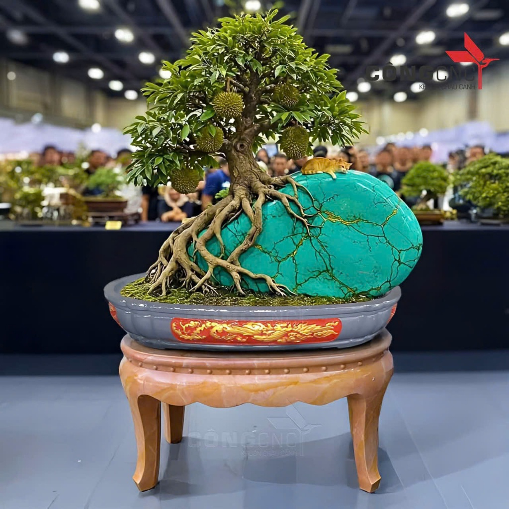 Khuôn đúc chậu ovan 90x57x14cm lòng cạn nhựa ABS có lòng trong