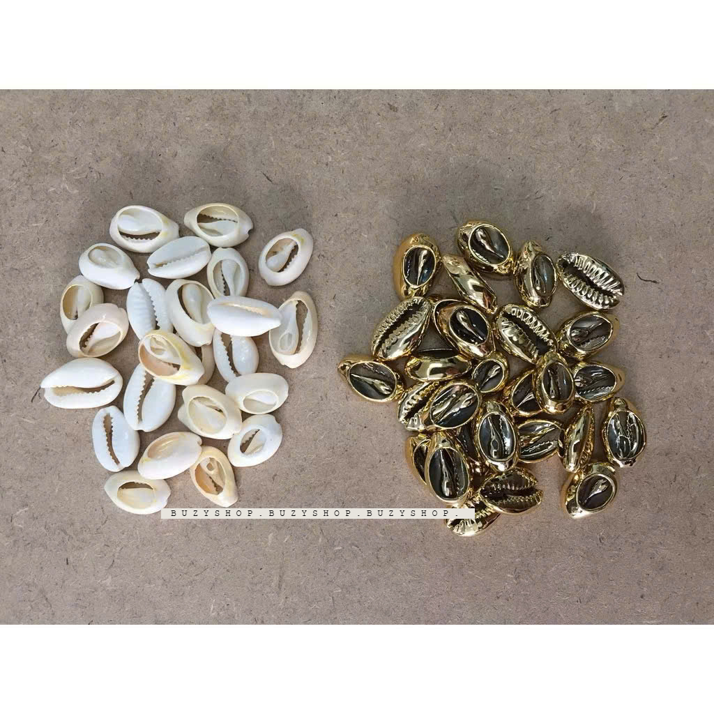 [Gói 5cái] Vỏ ốc biển làm vòng tay - KHOAN LỖ SẴN [nguyên liệu thủ công, phụ liệu handmade]