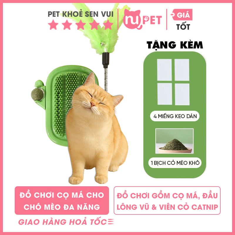 Cọ má mèo đa năng Nupet kết hợp lông vũ bóng catnip - Đồ chơi bàn chải massage nhiều công dụng