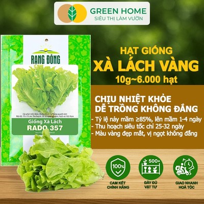 Hạt Giống Rau Xà Lách Vàng GreenHome, Gói 10g~6000 hạt, Dễ Trồng, Nảy Mầm Cao, Năng Suất Cao R13