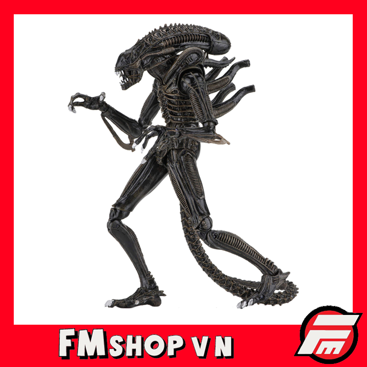 (2nd) Mô Hình Nhân Vật Neca Alien Xenomorph Warrior