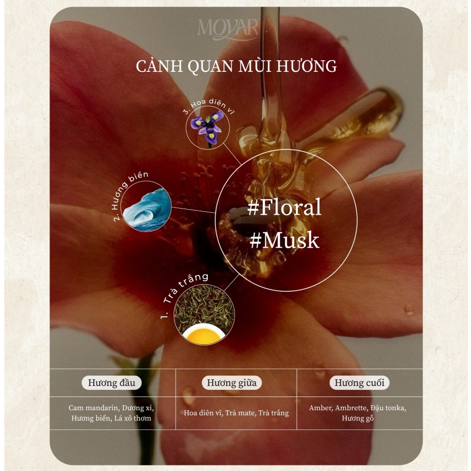 10ml Elizabeth Arden White Tea EDT | Nước hoa nữ | Moyar Perfume | BigBuy360 - bigbuy360.vn