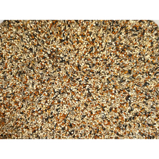 Hạt trộn cho thạch yến , siskin,red siskin,gold finch ...với 20 thành loại hạt tạo thành
