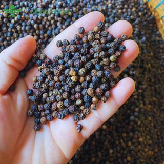Tiêu Đen Phú Quốc Loại Ngon 500gram – Hạt Khô Giòn Tự Nhiên, Đậm Vị Cay Thơm – Không Chất Bảo Quản