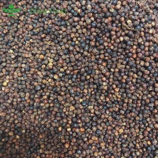 Tiêu Đen Phú Quốc Loại Ngon 500gram – Hạt Khô Giòn Tự Nhiên, Đậm Vị Cay Thơm – Không Chất Bảo Quản