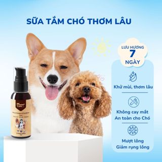 Sữa Tắm Ngăn Ngừa Ve Ghẻ Nấm Lưu Hương Thơm Lâu Tắm Được Cho Các Dòng Chó MASTERCARE FOR PET 50ML