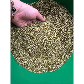 Đậu Xanh Quê Nguyên Hạt 500g – Hạt Tròn Mẩy, Không Hóa Chất, Nấu Chè Ngon