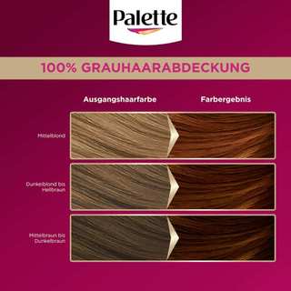Thuốc nhuộm tóc Poly Palette